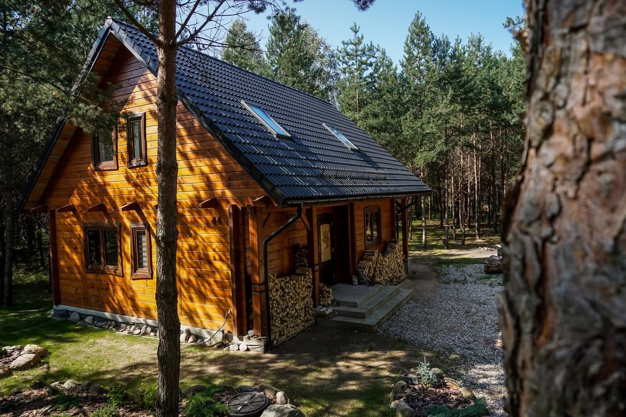 Дома для отпуска Łosia Chata Гжибовце