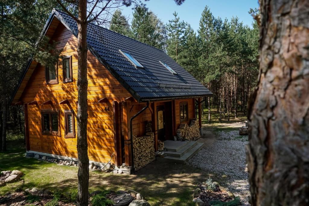 Дома для отпуска Łosia Chata Гжибовце