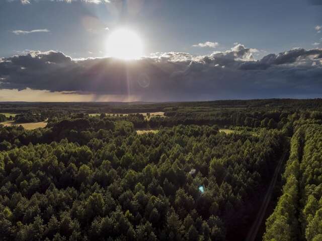 Дома для отпуска Łosia Chata Гжибовце-10